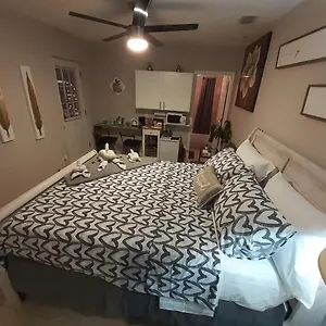 Luxurious Cozy Studio. , Tampa United States